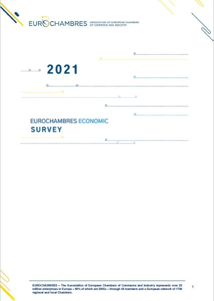 EES EU 2021 - Gospodarska raziskava za 2021